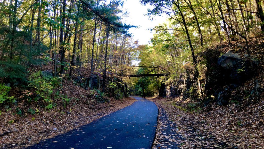 Rail Trail path covered in leaves.
