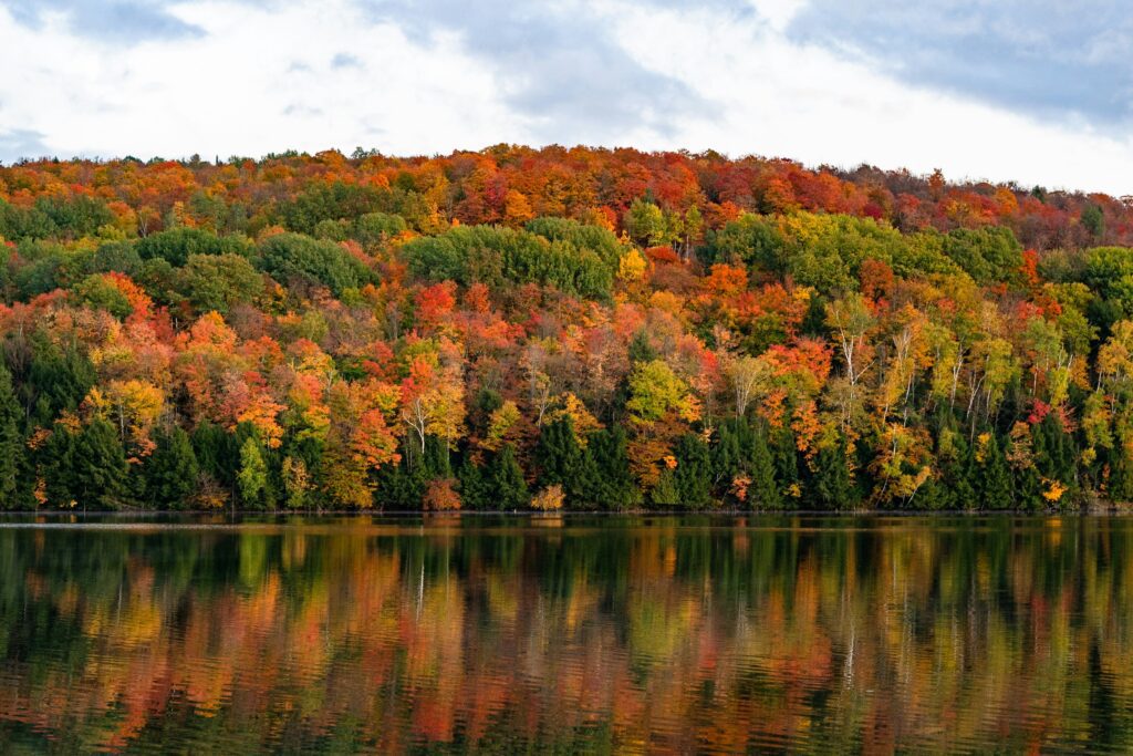 Fall colors reflected in a lake.