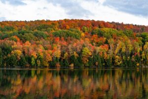 Fall colors reflected in a lake.